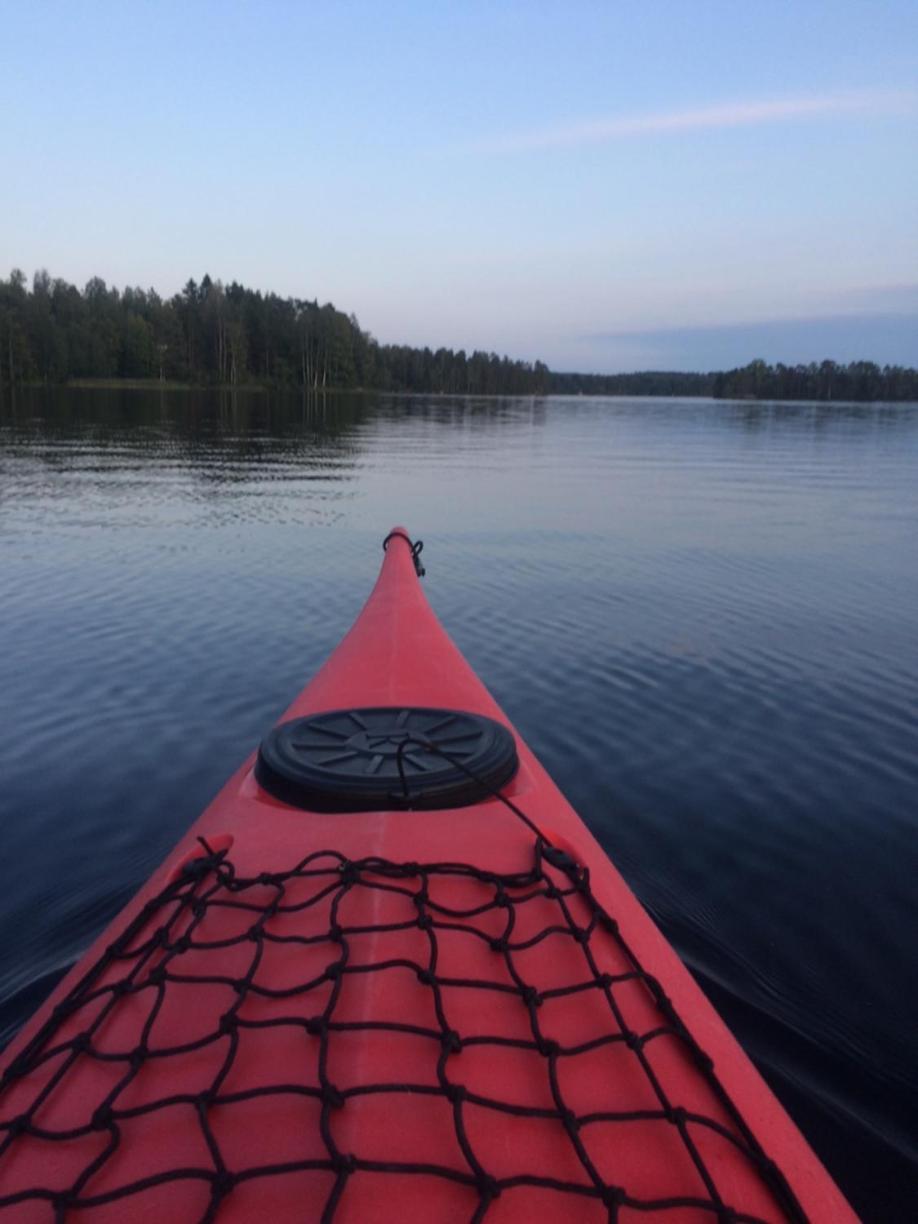 Linkkumylly Cottages Mäntyharju Eksteriør billede