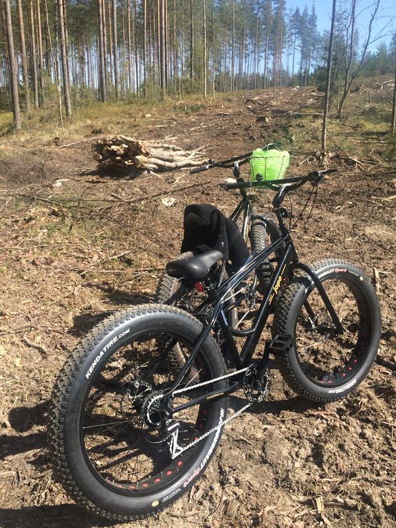 Linkkumylly Cottages Mäntyharju Eksteriør billede